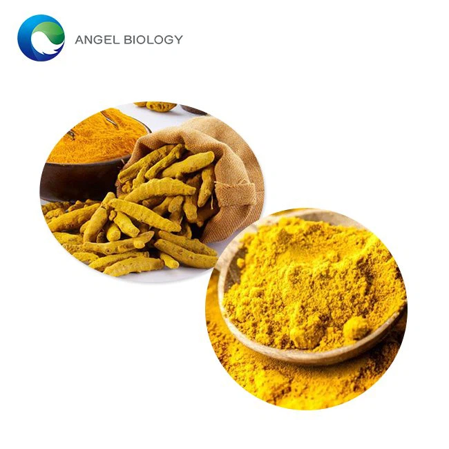 Is it Better to Take Curcumin Powder in the Morning or at Night?